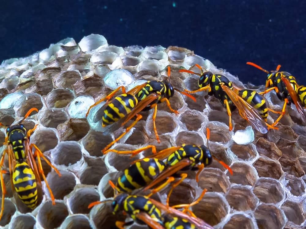 6ac60b2f-f091-49e4-984c-911f45de173c